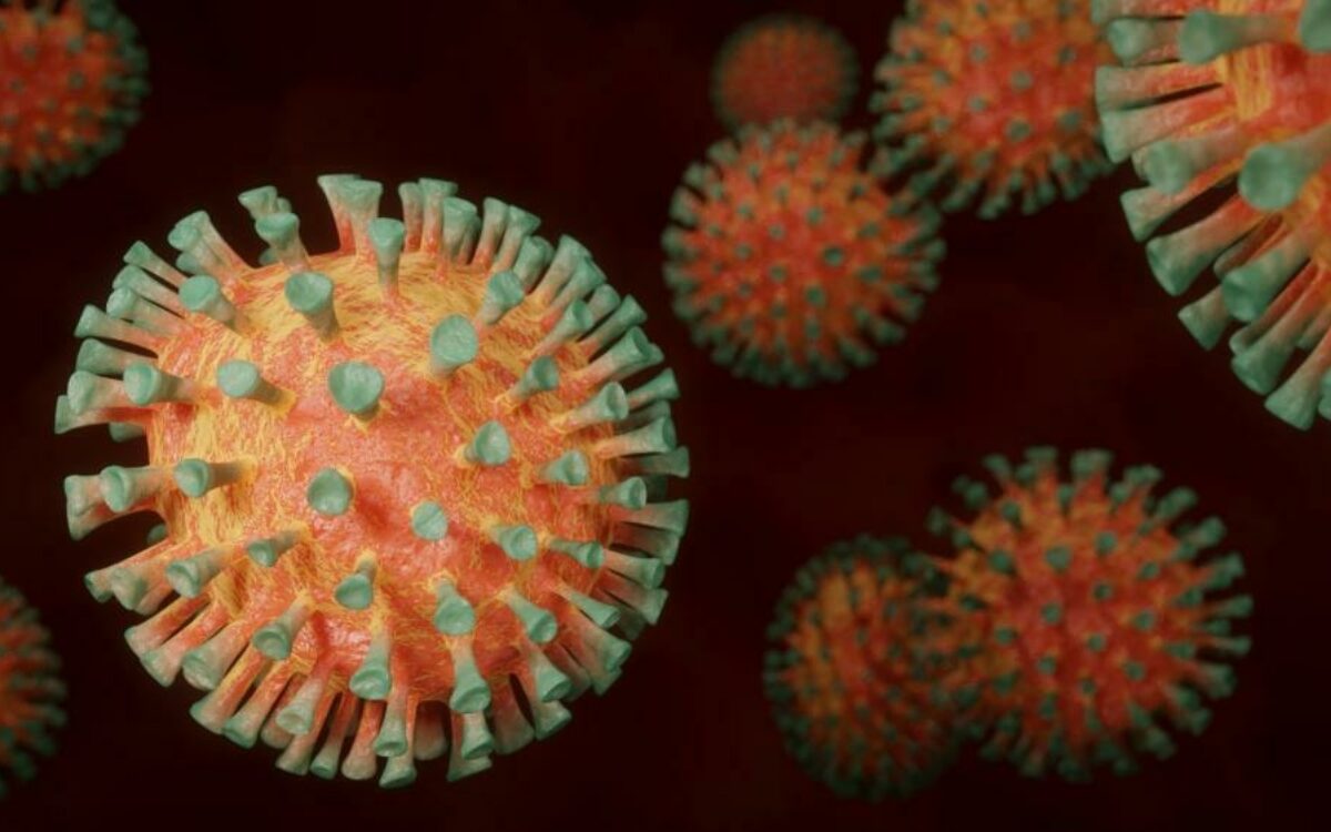 1607191064coronavirus 4972480 1920 1607191064coronavirus 4972480 1920